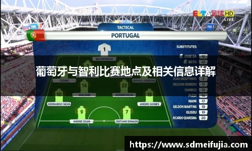 葡萄牙与智利比赛地点及相关信息详解